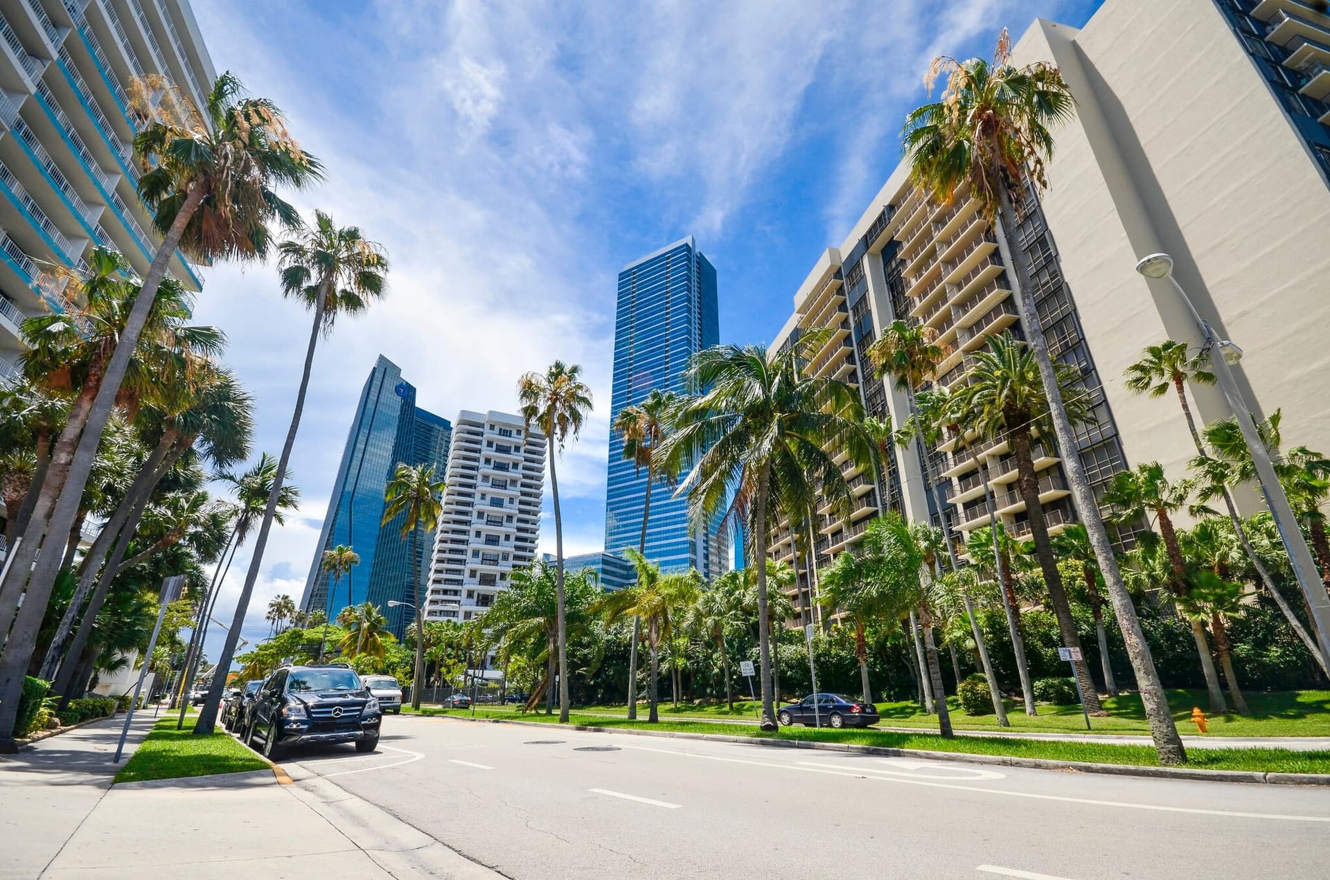 Detailing in Brickell