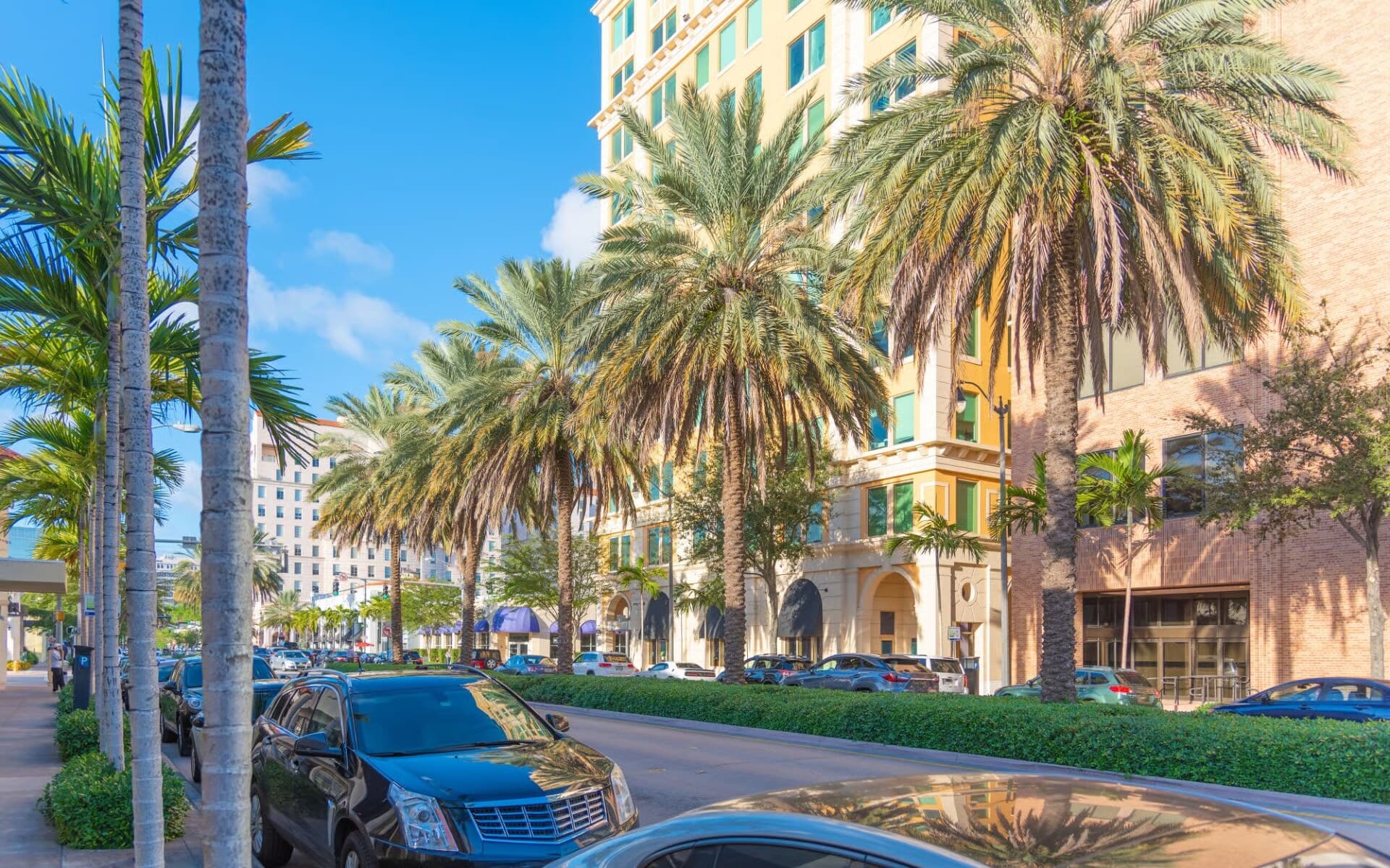 Detailing in Coral Gables